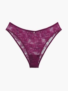 Savage x Fenty CHANTILLY CASCADE BRAZILIAN Lace Bikini Brief Size 2X